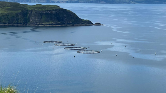 Fisheries Consultants - Aquatic management image