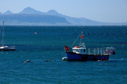 Fisheries Consultants - Aquatic management image